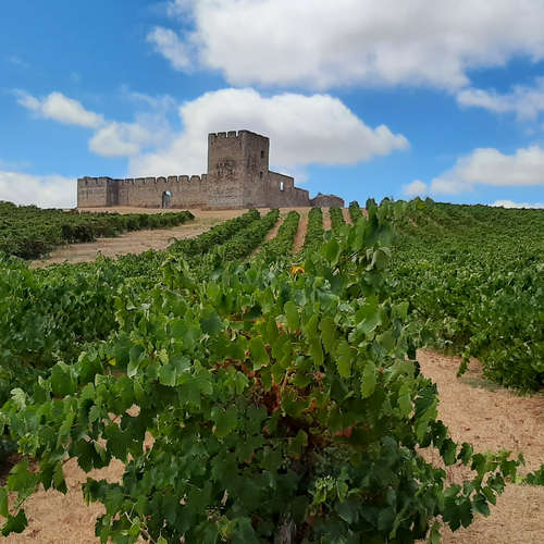 Wein und Burg Valongo Wein und Burg Valongo